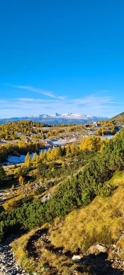 Ferienwohnungen Bergpanorama Bad Mitterndorf Buitenkant foto