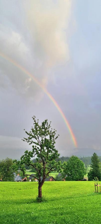 Ferienwohnungen Bergpanorama Bad Mitterndorf Buitenkant foto
